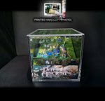 Load image into Gallery viewer, Dota 1 Diorama Cube Printed-Hardcopy [Photo]
